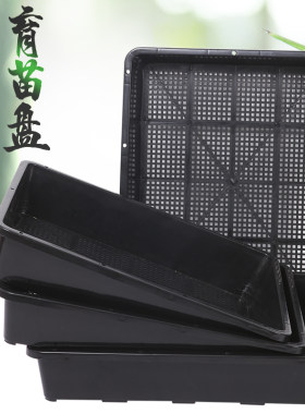 多肉育苗盘加厚塑料树脂叶插播种闷养箱黑方托架托盘整理筐盘盆架