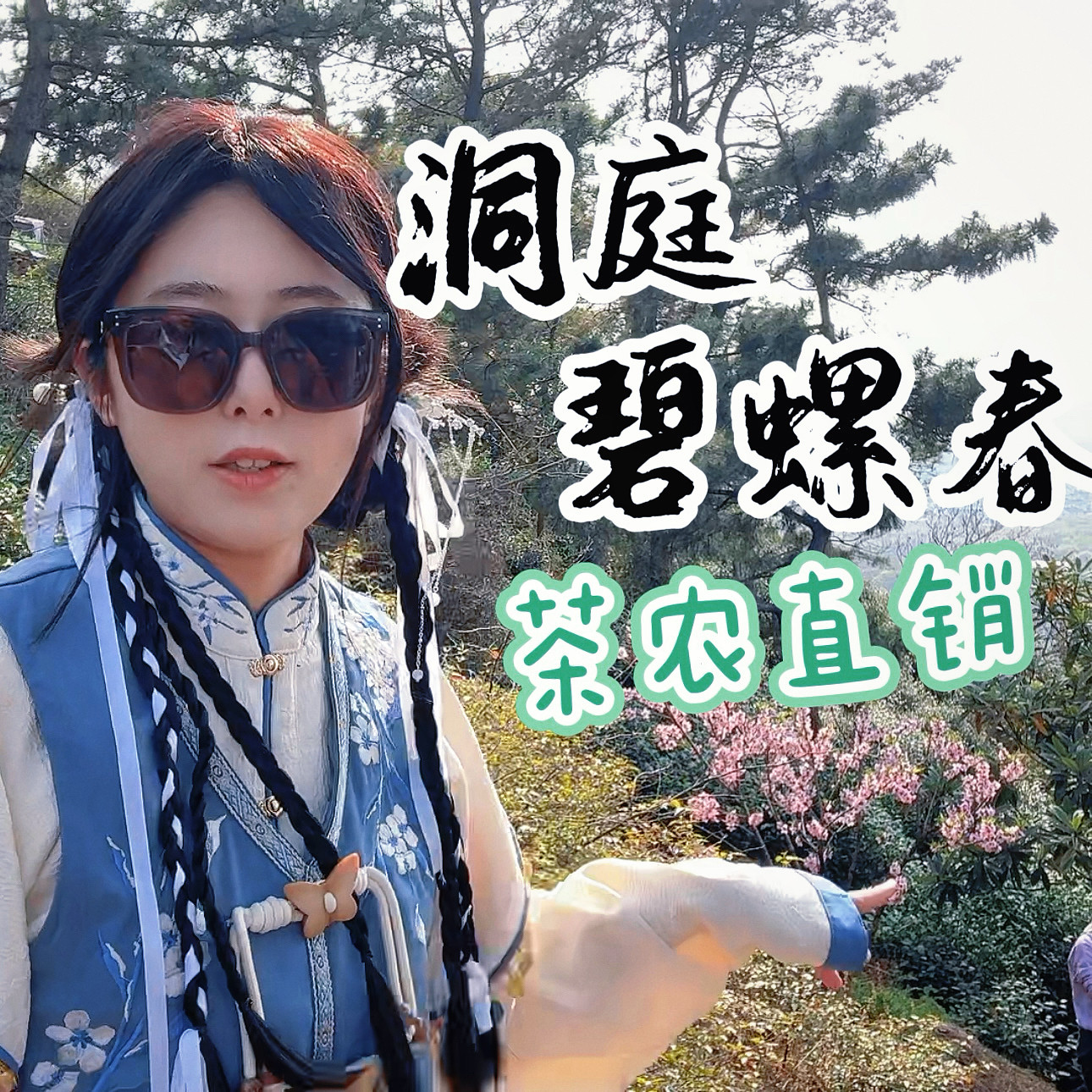 【2026新茶】苏州西山群体小叶种碧螺春毛茶！无试喝