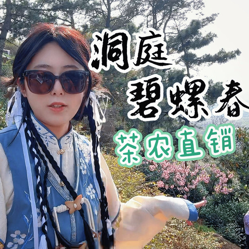 苏州西山群体小叶种碧螺春茶叶！