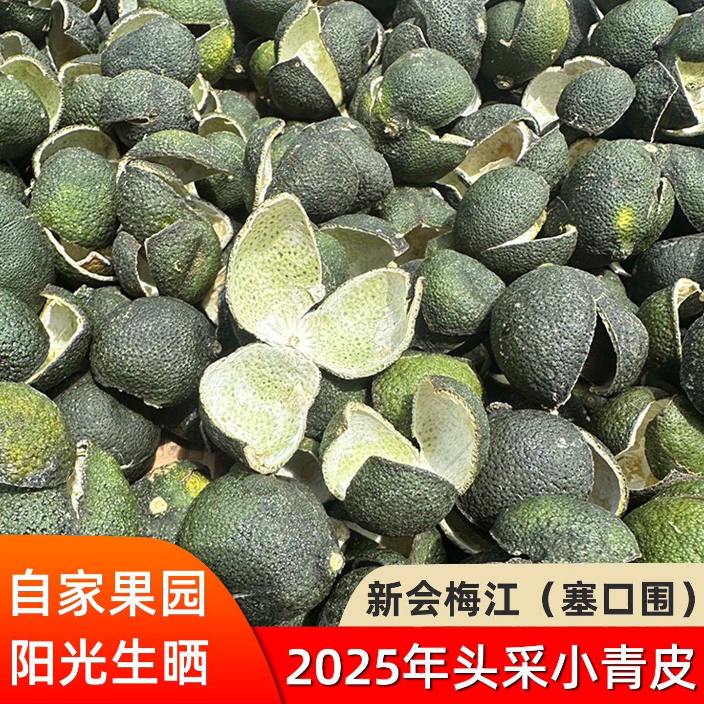 2025年新会梅江三花青皮老树圈枝
