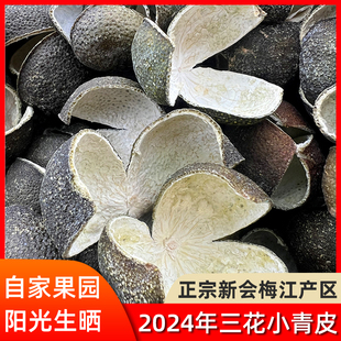 2024年新会梅江圈枝小青皮广东陈皮2025年头采三花青皮官方旗舰店
