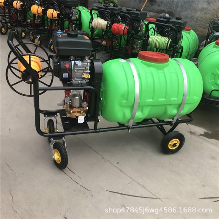 手推式高压打药机 小型汽油推车式打药车 农用灭虫高压喷雾器