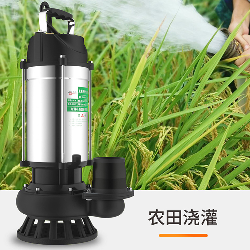 名磊大流量不锈钢潜水泵2t20V抽水机井用清水泵户外农用浇灌抽水