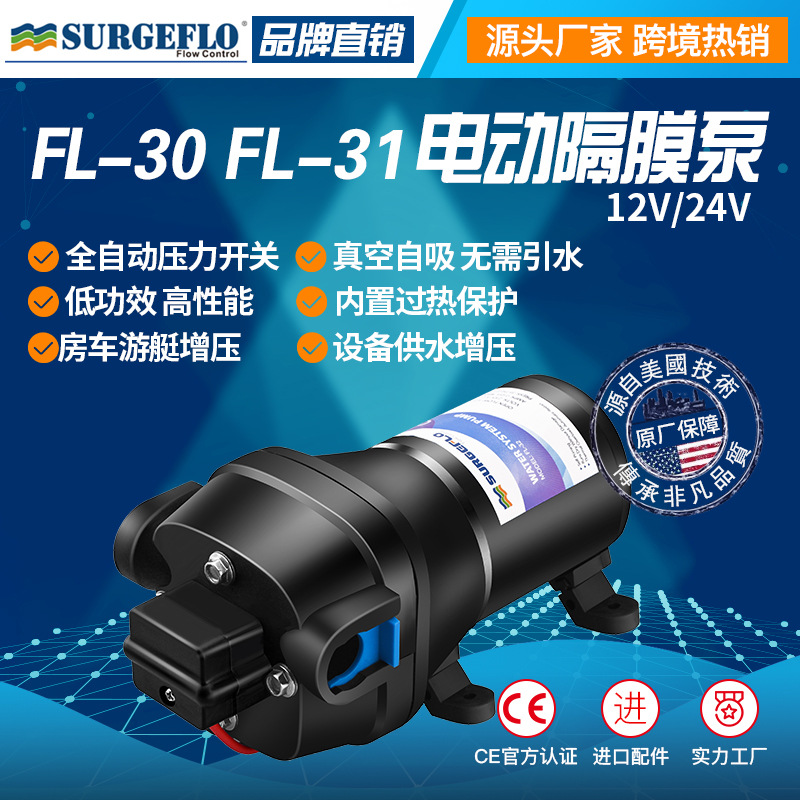 FL-30 12V24v直流电动房车游艇生活增压供水自吸清水泵户外抽水泵