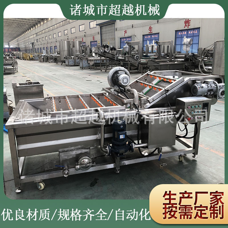 大型商用蔬菜气泡清洗机 粽叶清洗设备生产厂家 批发小龙虾清洗机