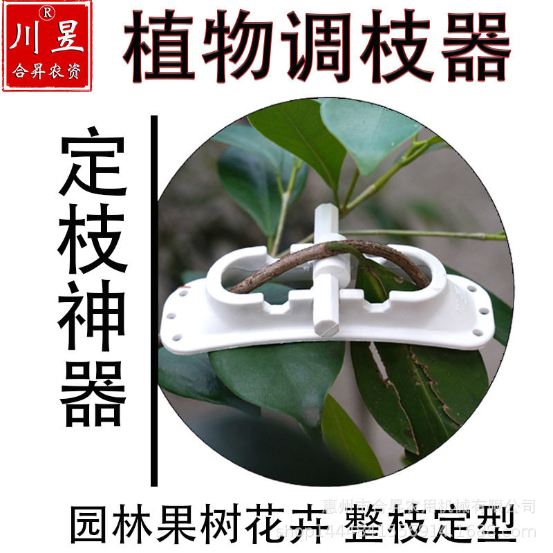 川昱植物调枝器果树盆景造型