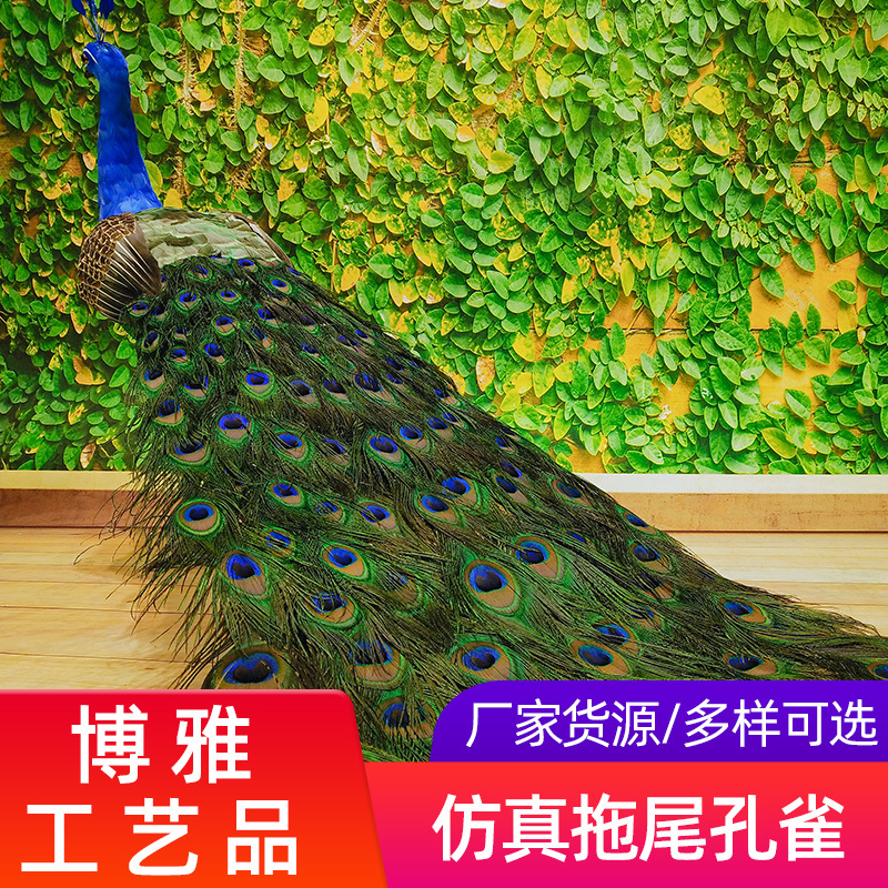 厂家直销仿真拖尾孔雀装饰摆件真羽毛手工艺家居橱窗布景模型道具