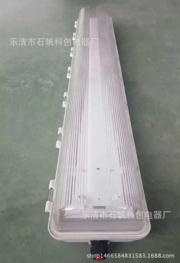 BAY51-Q36*2g单管应急90分钟防爆荧光灯防爆防腐全塑三管SBF6216