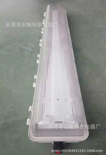 BAY51-Q36*2g单管应急90分钟防爆荧光灯防爆防腐全塑三管SBF6216