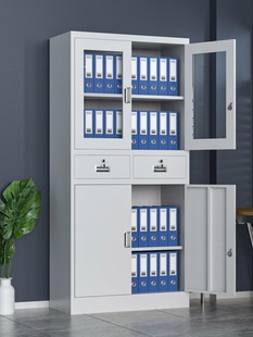 钢制文件柜办公室铁皮柜档案柜凭证资料柜书柜抽屉储物柜更衣柜子