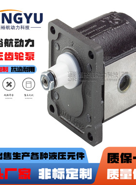 布雷维尼Brevini齿轮泵OT100P11D/G18 OT200P04S/R泵 OT300液压泵