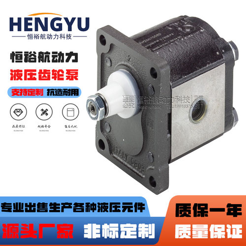 布雷维尼Brevini齿轮泵OT100P11D/G18 OT200P04S/R泵 OT300液压泵