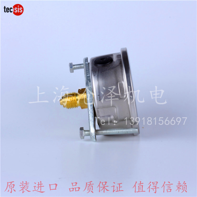 tecsis机械耐震压力表G1/4轴向