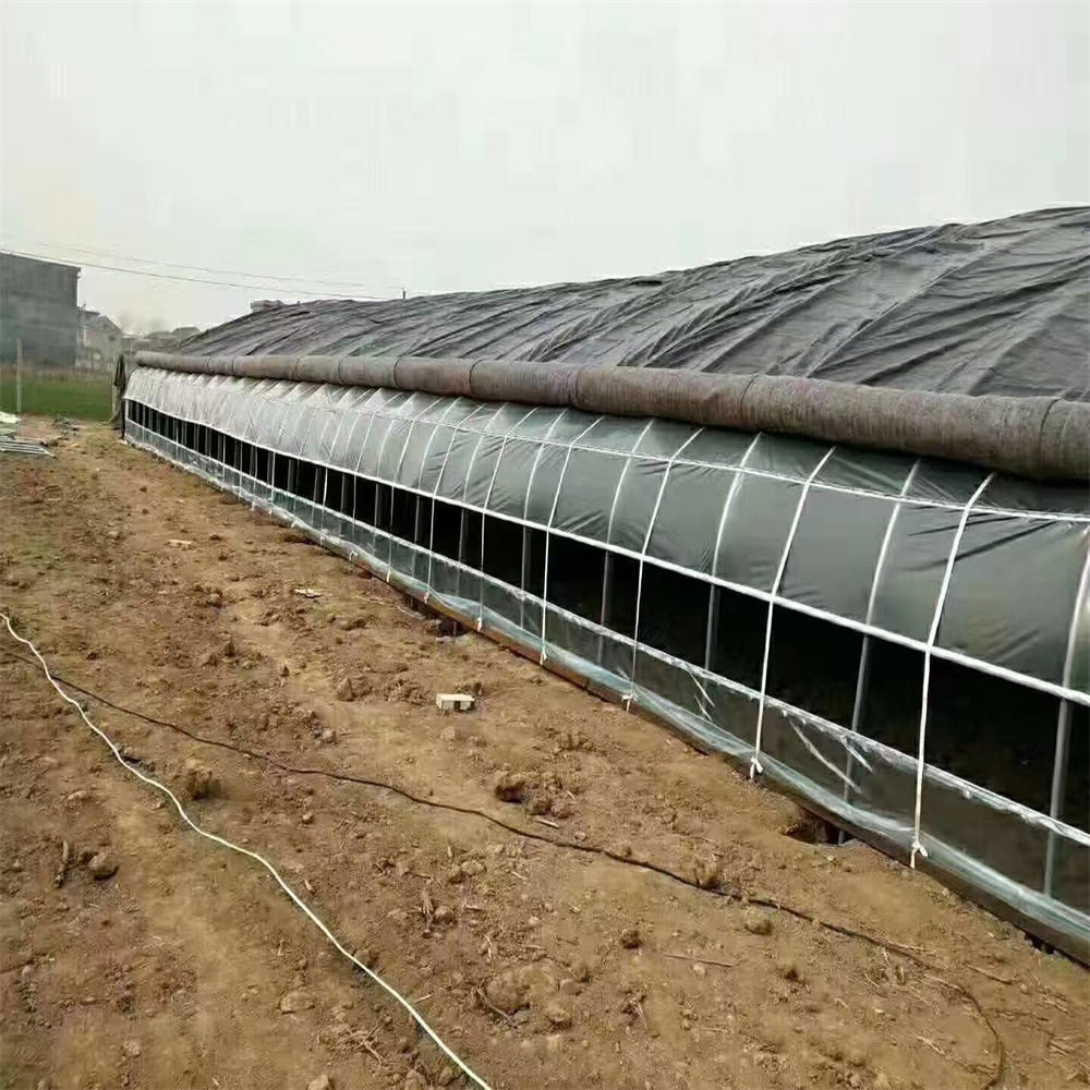 供应山西椭圆管日光温室大棚骨架反季节蔬菜草莓种植日光暖棚厂家