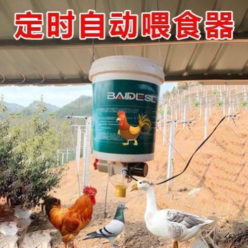 鸽子自动喂食机流出鸟用鸭饲料鱼饲料投食器下料器直流程控喂料机