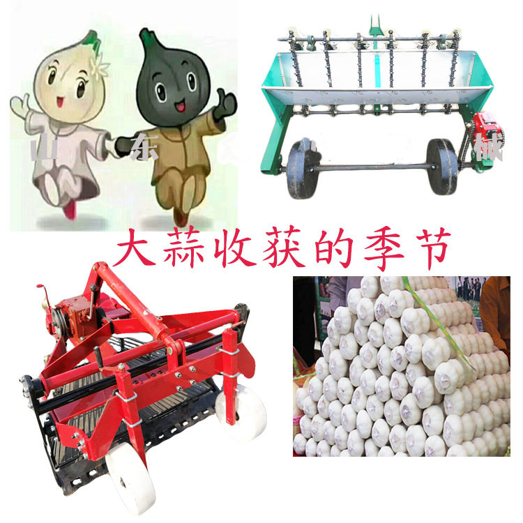 震动筛式大蒜收获机 铲蒜机收蒜机器四轮拖拉机前置收蒜机