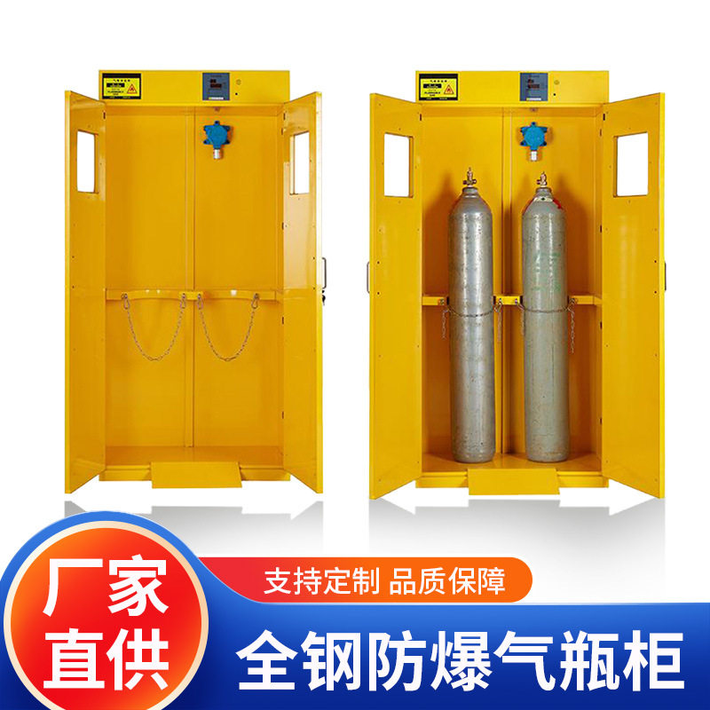 深圳东莞气瓶柜全钢防爆气瓶柜工业柜实验防爆柜危险气体储存柜