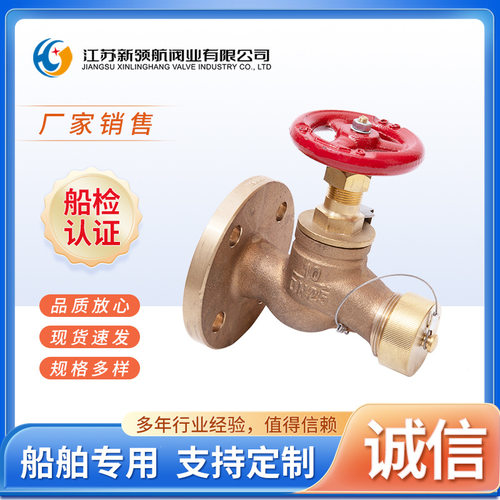 船用空气阀青铜皮笼阀直通式法兰螺纹软管阀门CBM1109DN152025