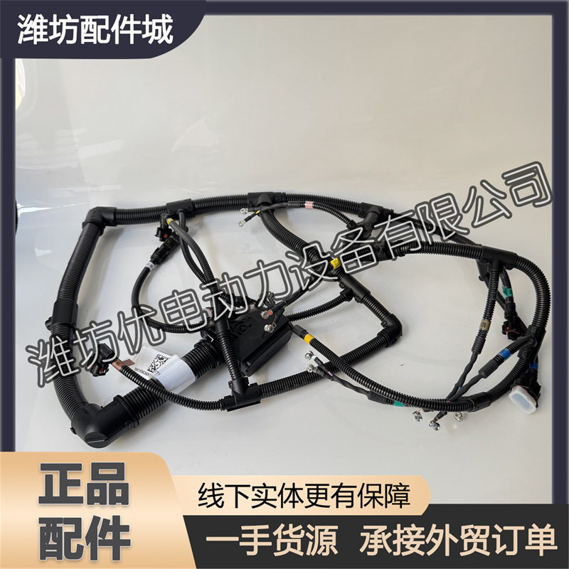 潍柴喷油器线束1001556365