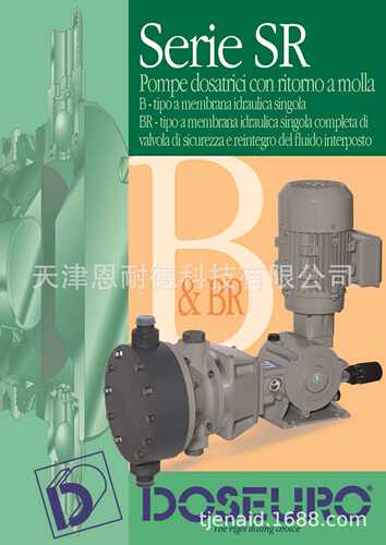意大利道茨DOSEURO液压隔膜计量泵B-175N-25/B-01