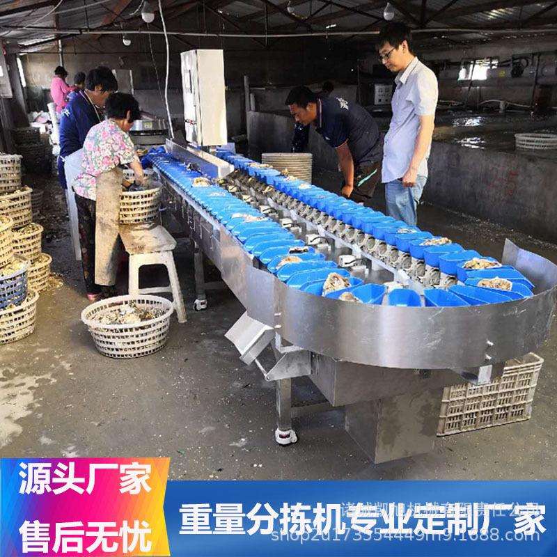 鱼分级机海产品自动称重分拣机器小黄鱼转盘式分选机凯旭