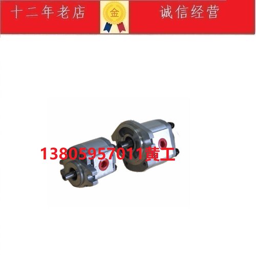 台湾康百世KOMPASS齿轮泵P211RP01DT,P214RP01DT, P216RP01DT