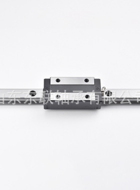 TRS20BS方型低组短滑块