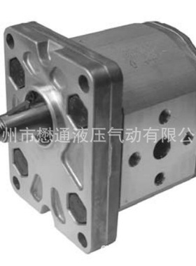 迪普马DUPLOMATIC齿轮泵1P5R/11N,GP1-0013L97F/20NGP1-0013L97F