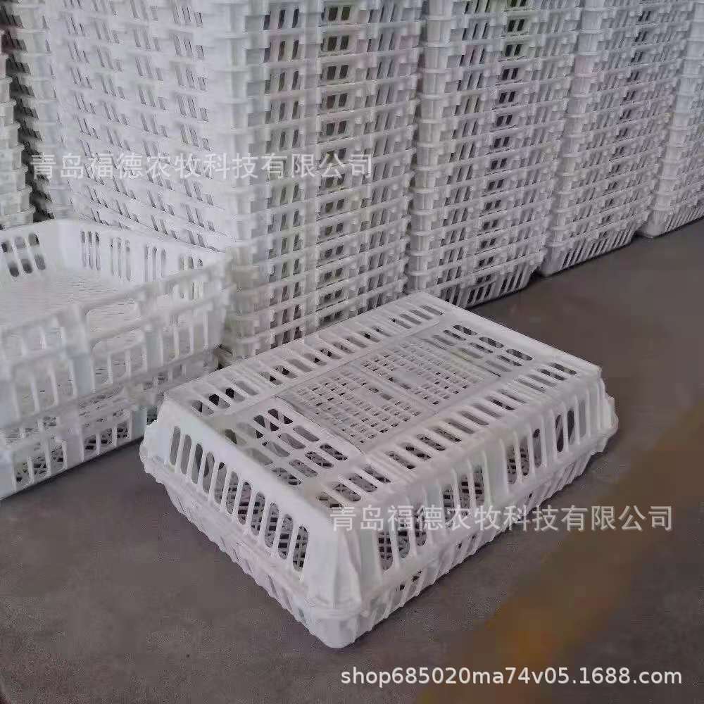 鸽兔运输笼 鸡笼周转箱 特大号鸡笼子 鸭鸽兔鸡用家禽运输筐