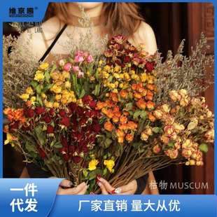 饰摆件天然家居凌之 干花花束多头玫瑰风干真花毕业拍照复古客厅装