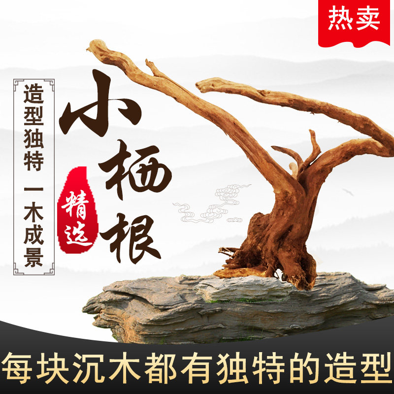 速发鱼缸迷景沉木栖根杜鹃根沉水木水草中莫斯树流木大缸造你号