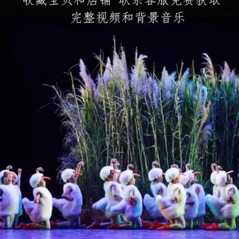 现货速发儿童舞蹈这是我家演出服幼儿小鸭子的家小鹅小鸭嘎嘎表演