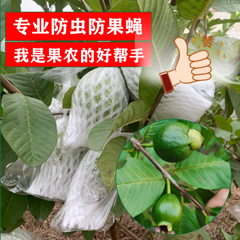 速发番石榴石袋包番套榴袋芭乐套袋水防果虫保护袋水果套袋专用袋