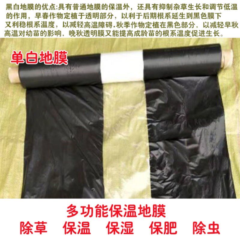 现货速发农用加厚银白色地膜除草膜黑白相间防虫塑料薄膜果树蔬菜