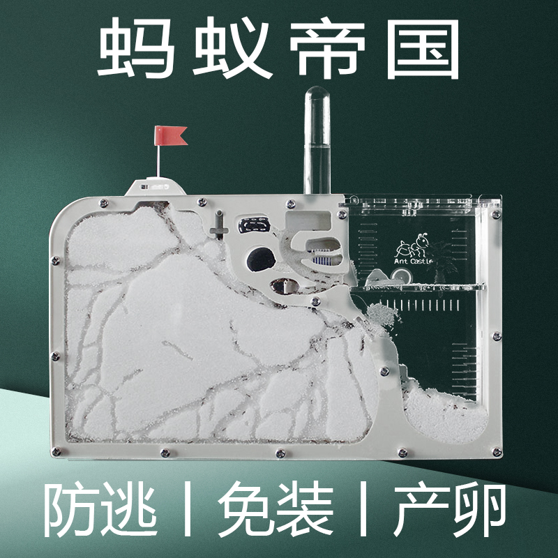 速发蚂蚁城堡生态箱巢穴饲养缸窝蚁空舱蚂蚁工坊观察盒太墅送别后