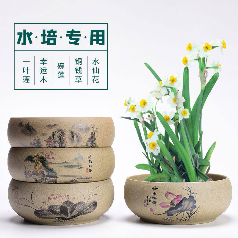 现货速发水仙花盆陶瓷大号家用无孔铜钱草一叶莲碗莲盆多肉大口径