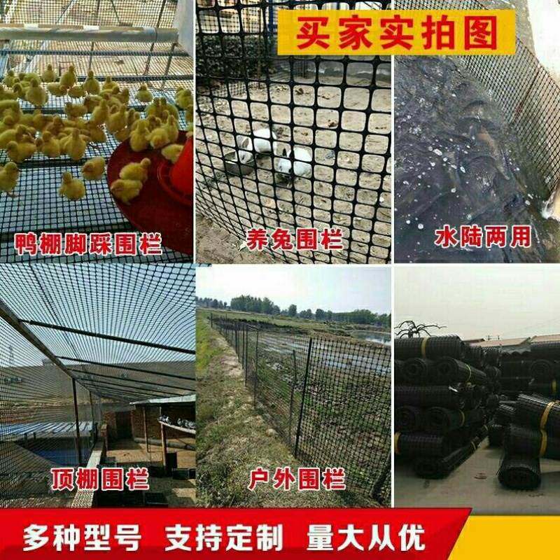 速发塑料网养鸡养鸭围栏网漏家粪网塑料防护网养鸡D网s禽拦殖网塑