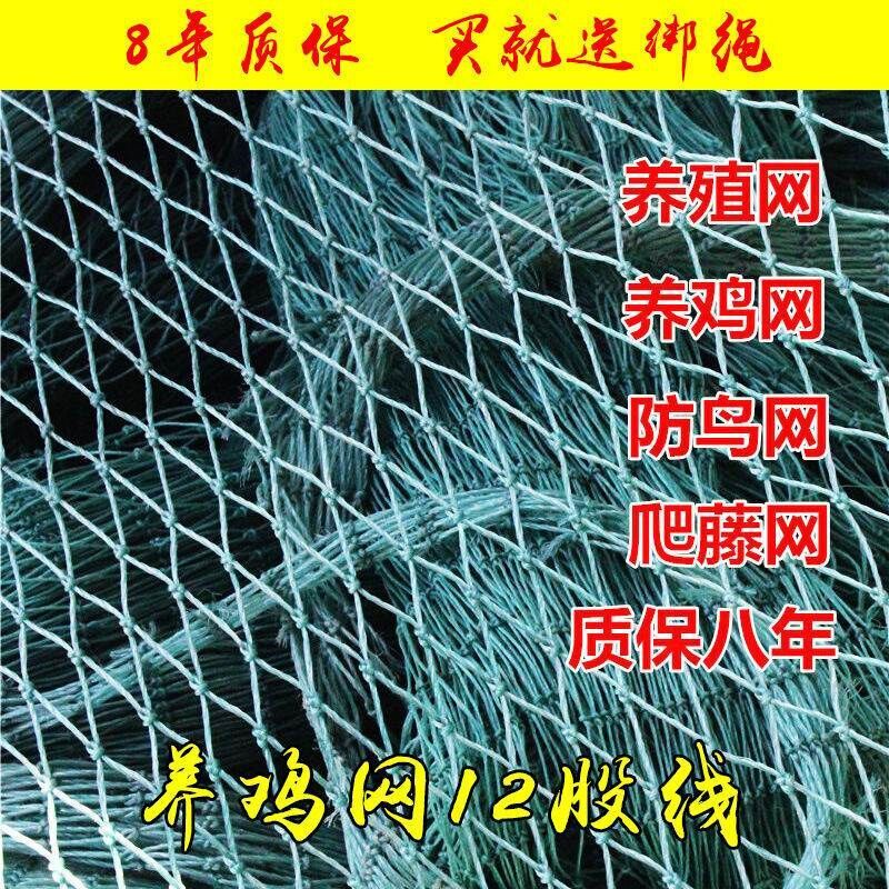 速发大棚果园果树菜地防罩鸟用的防防护樱桃网鸟用神器纱网小树养