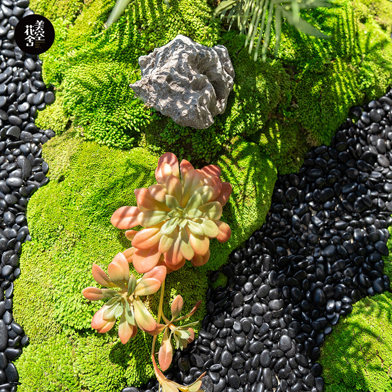 速发永生苔藓微景观装景盆发藓白饰摆件铺面景观石头软装造景/美