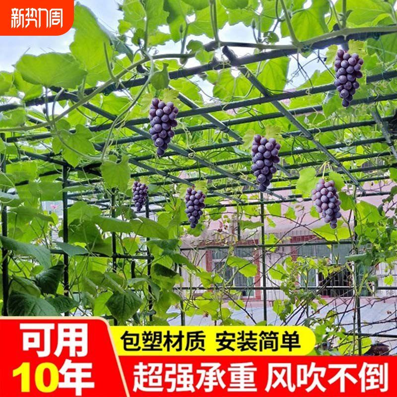 速发葡架爬花架植物牵引杆萄支撑杆菜园塑钢管种菜架蔬菜藤卉花支