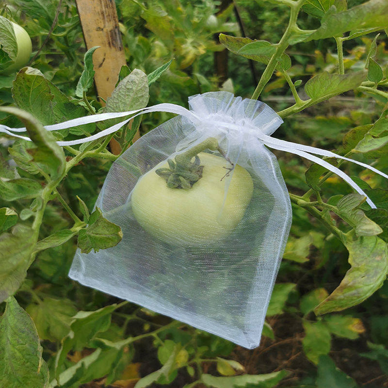 速发水果防虫透子防鸟保护草莓袋网袋果气番茄蓝莓套袋专用袋防虫