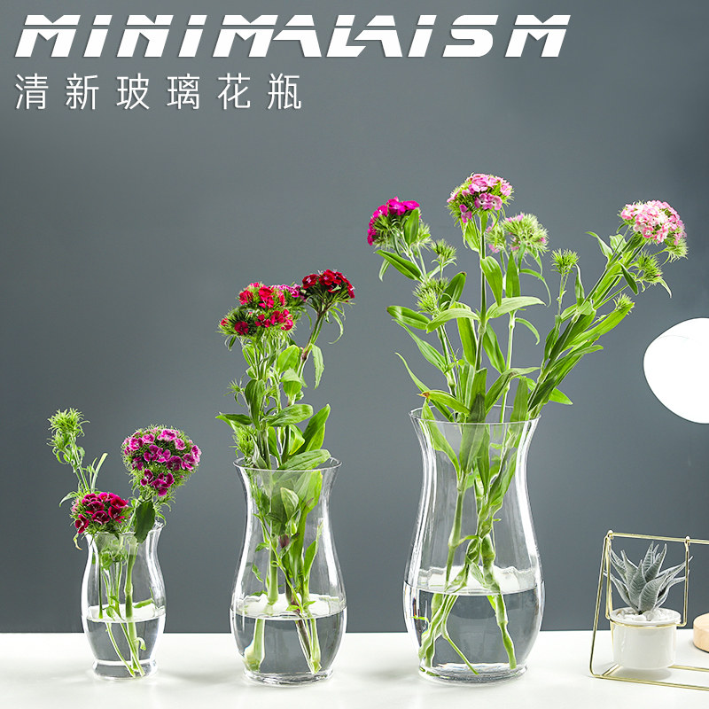 速发水明玻绿花盆 璃萝透培花瓶 恐龙蛋花瓶简约水养植物器皿大号