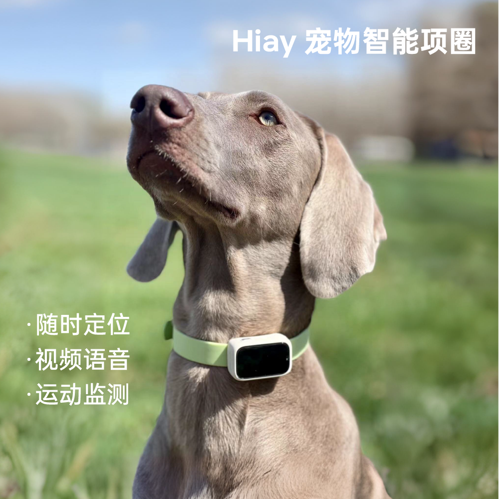 hiay宠物智能项圈狗猫咪定位器防走丢失神器gps带摄像头电话手表