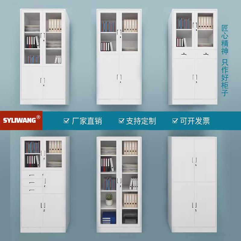 工厂来图加工定制文件柜铁皮柜办公室钢制储物柜资料柜档案柜带锁
