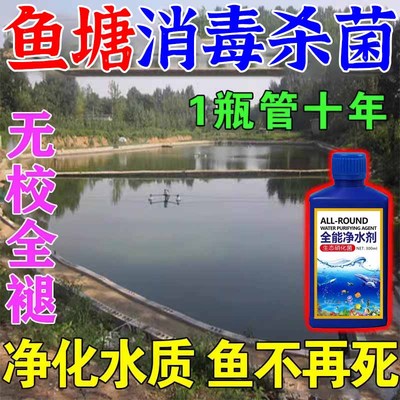 鱼塘净水剂鱼塘水永不浑