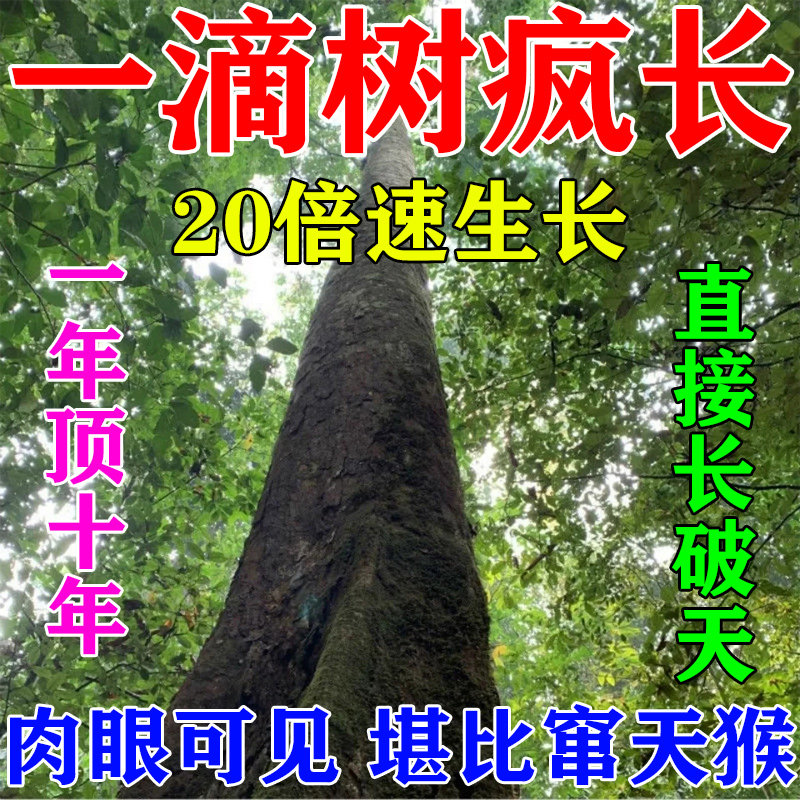 苗木速长增粗剂桉树专用肥杨树松树澳洲杉果树生长素猛长营养液,鲜花速递/花卉仿真/绿植园艺,家庭园艺肥料,淘宝优惠券,粉丝福利购,淘宝优惠卷