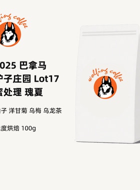 Wolfing咖啡25巴拿马驴子庄园Lot17蜜处理瑰夏冷萃冰滴手冲咖啡豆