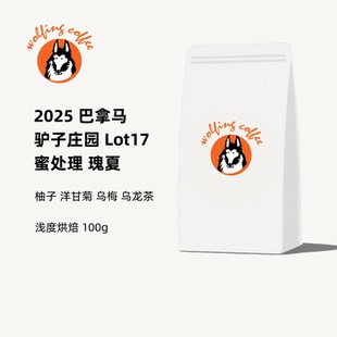 Wolfing咖啡25巴拿马驴子庄园Lot17蜜处理瑰夏冷萃冰滴手冲咖啡豆