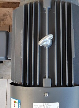 极速议价贝得电机1TL0001-1DAx23-3AA4 11KW2极三相交流异步感应