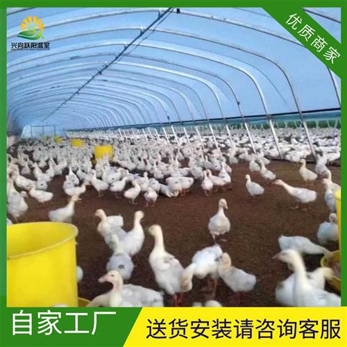 养殖大棚骨架养鸡场猪舍牛棚羊z圈仓库棚温室钢管钢架养猪大棚全